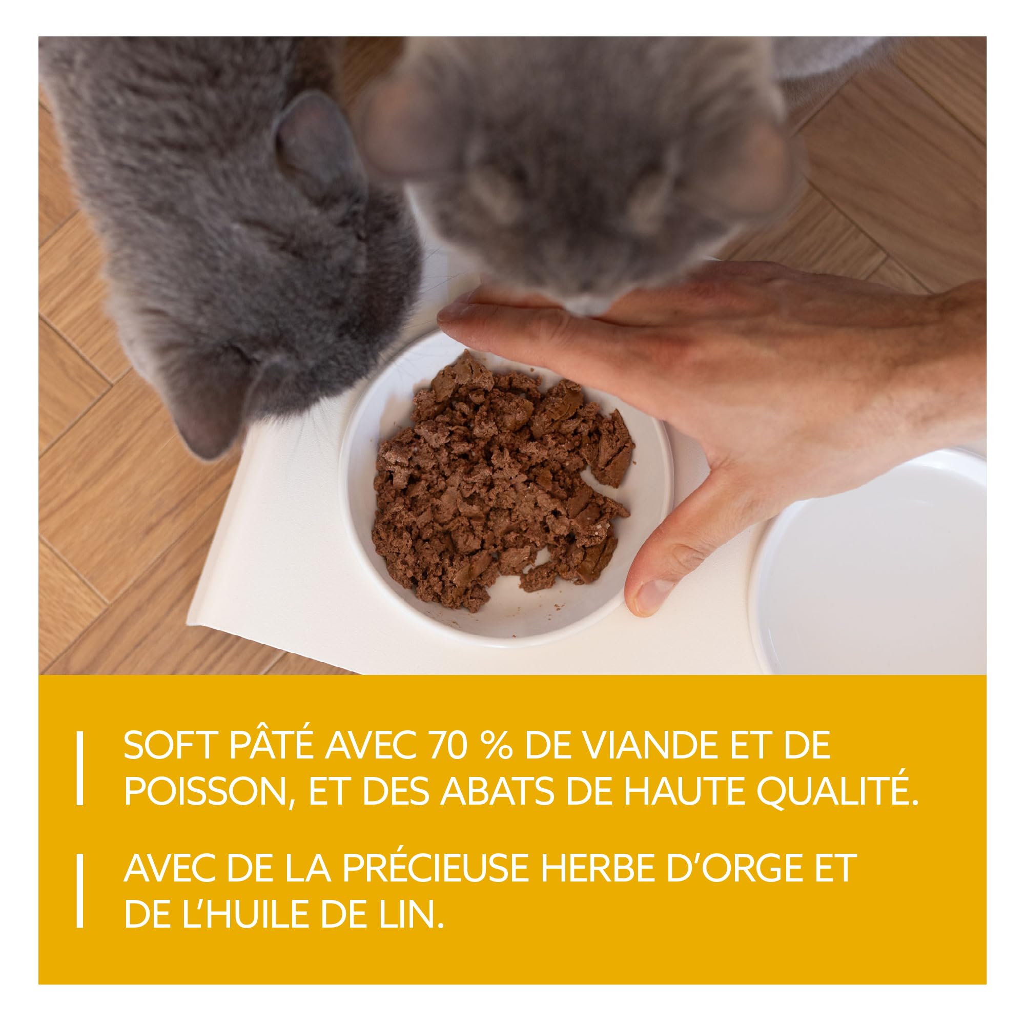 gimcat-near-nature-probier-mix-nourriture-humide-sans-cereales-pour-chat-12-x-85 image 4