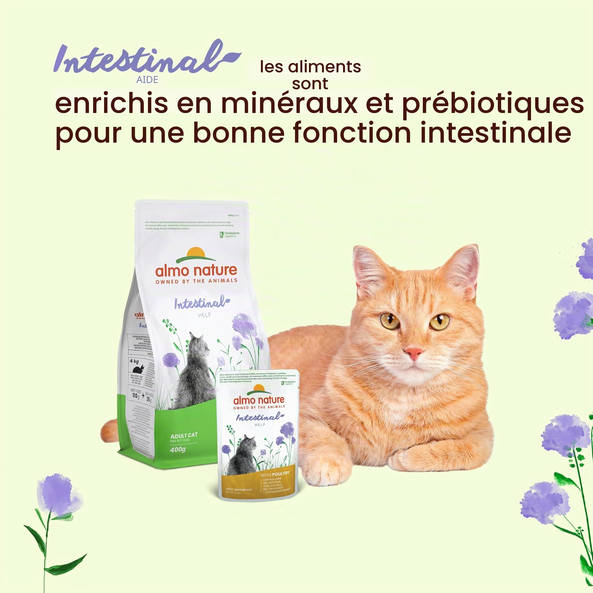 almo-nature-functional-intestinal-help-volaille-nourriture-humide-chat-30-x-70-g image 3