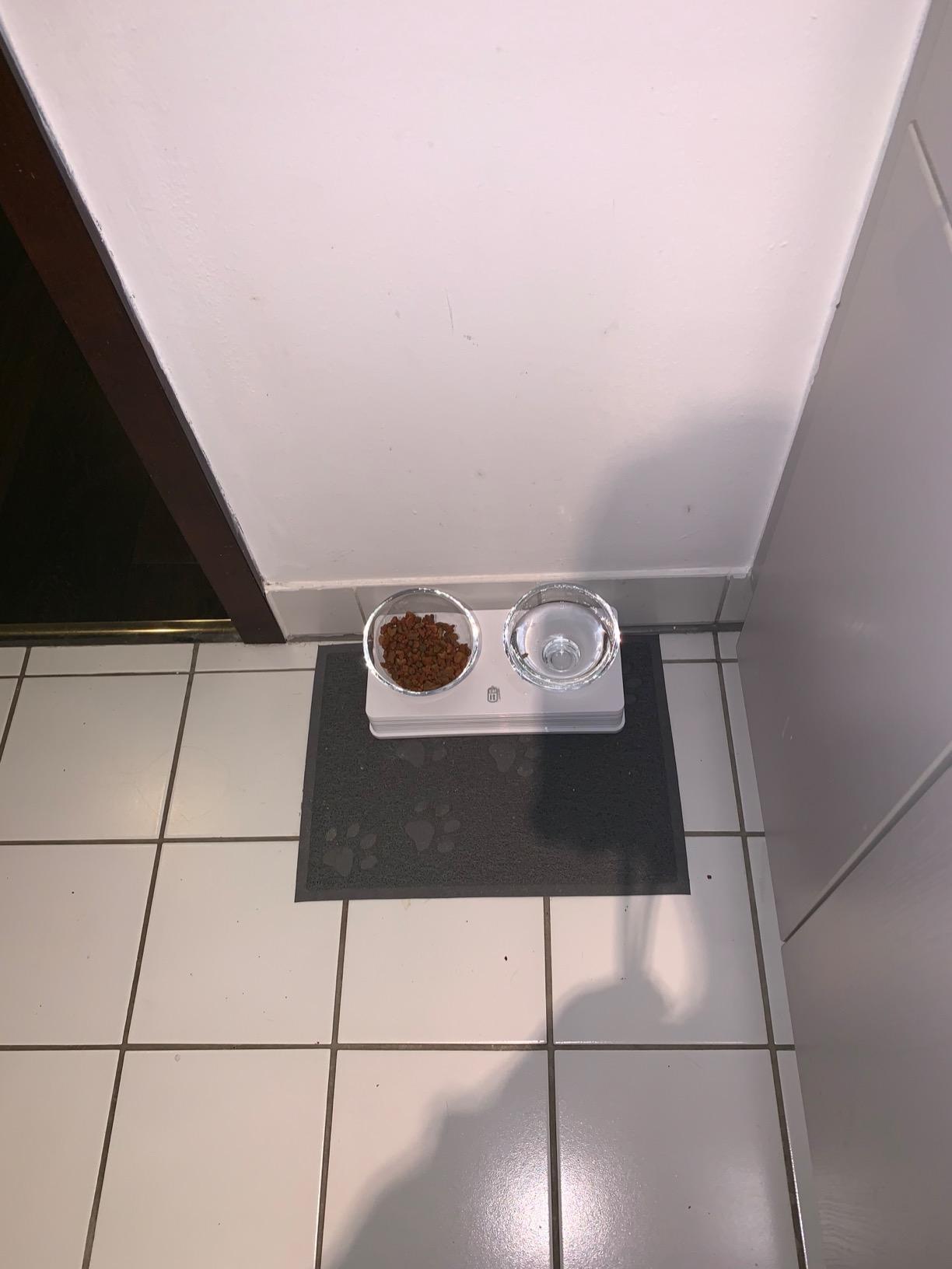 Parfait pour eau + croquettes