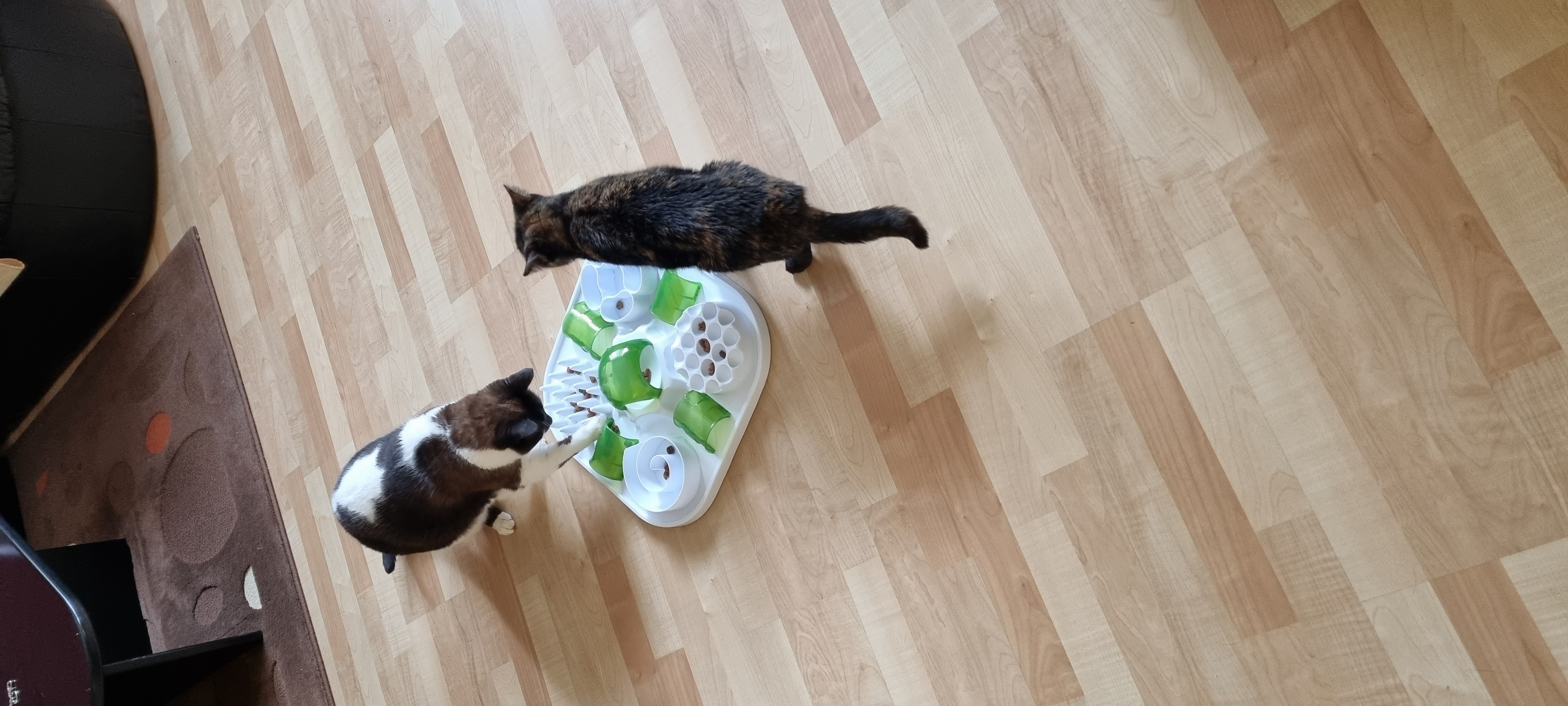 On adore les soirées puzzle