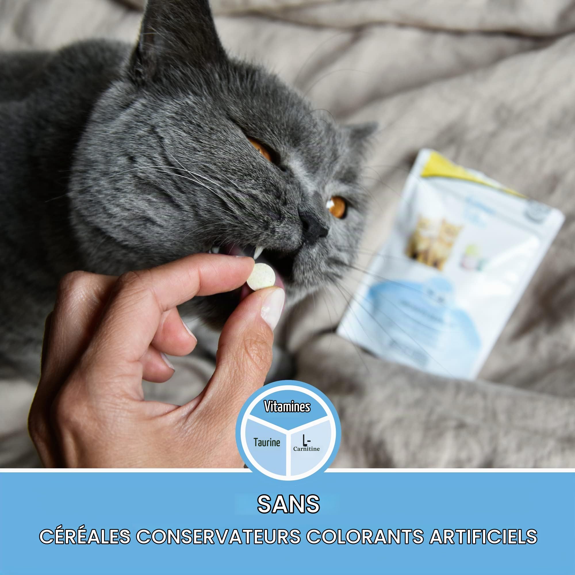 gimcat-kitten-tabs-snack-fonctionnel-chaton-d-s-6-semaines-40-g image 4