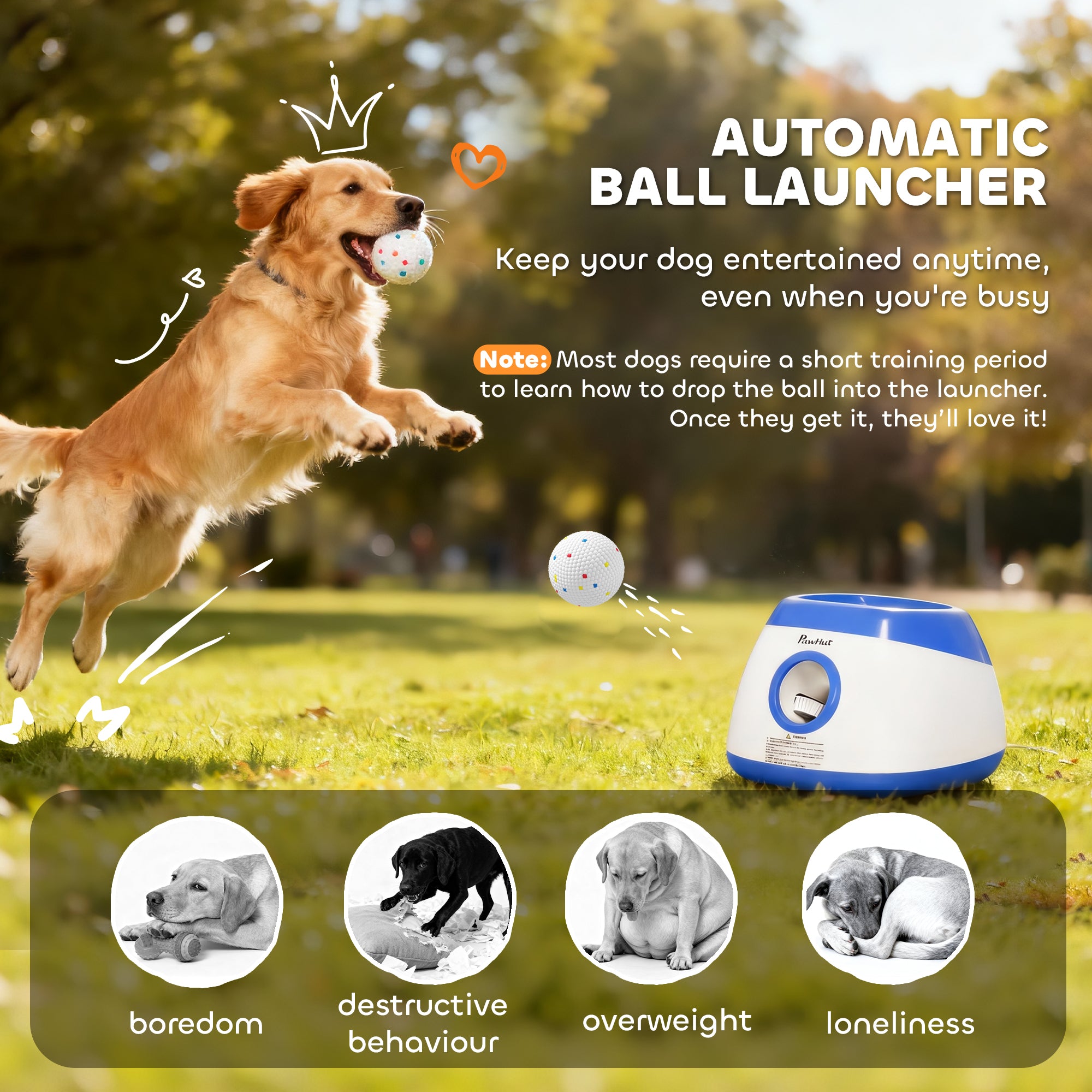 pawhut-lanceur-de-balles-automatique-pour-chien-t-l-commande-3-distances-6-balle image 6