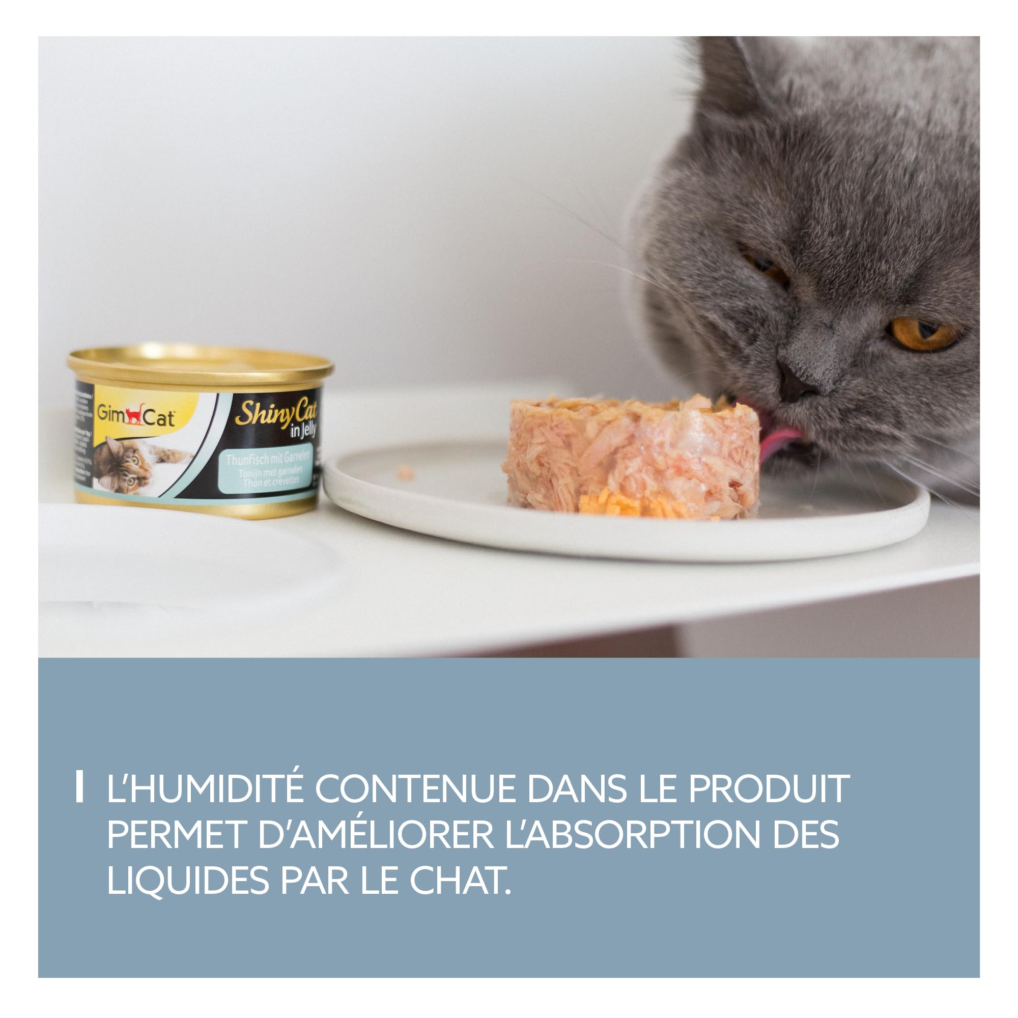 gimcat-shinycat-in-jelly-thon-aux-crevettes-nourriture-humide-pour-chat-24-x-70- image 3