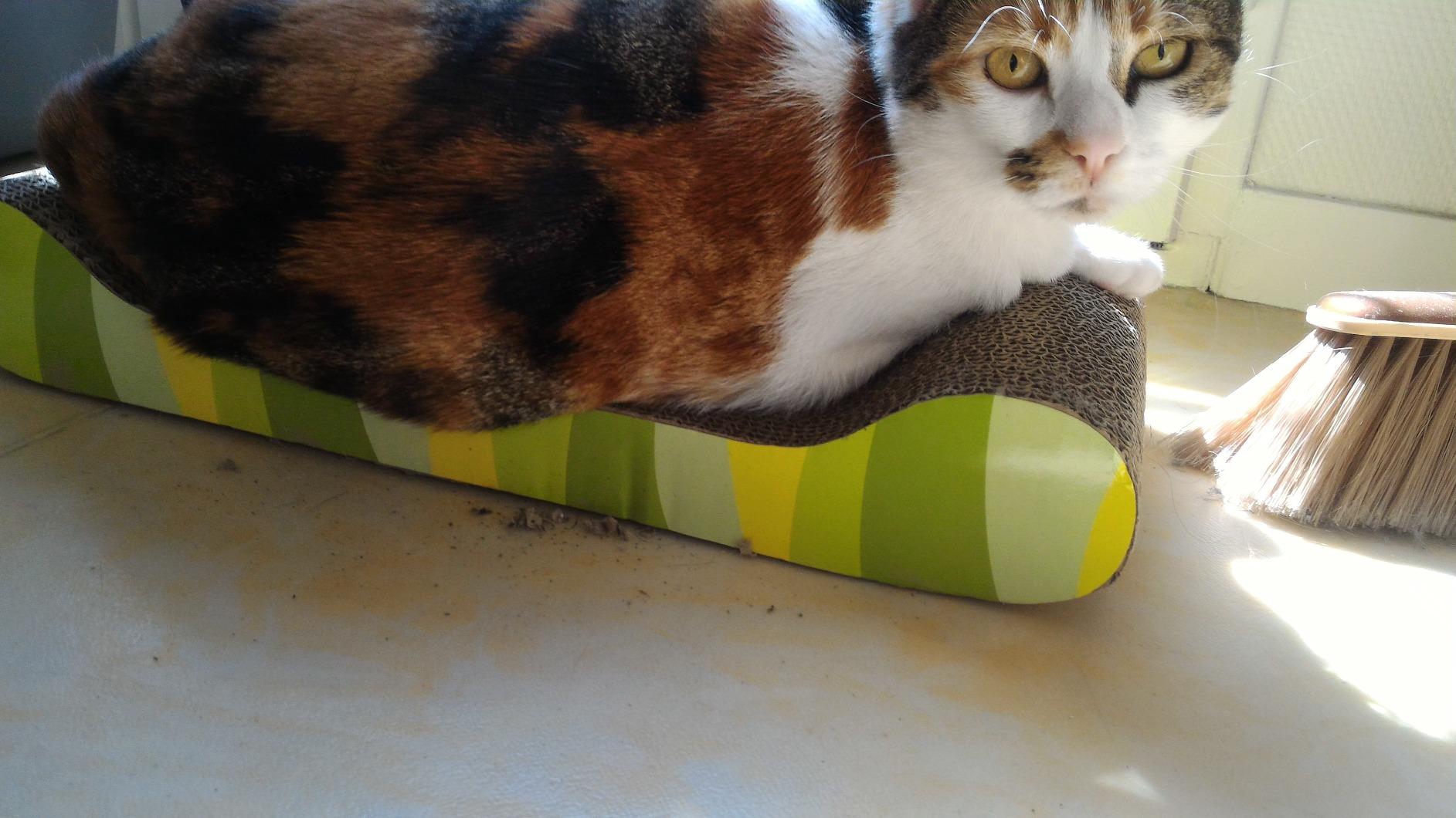Bien mais salissant