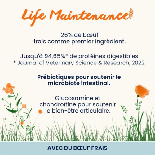 almo-nature-holistic-maintenance-l-dog-croquettes-au-boeuf-frais-pour-chien-gran image 6