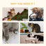 pawhut-arbre-chat-tour-haute-avec-griffoirs-et-chelle image 7