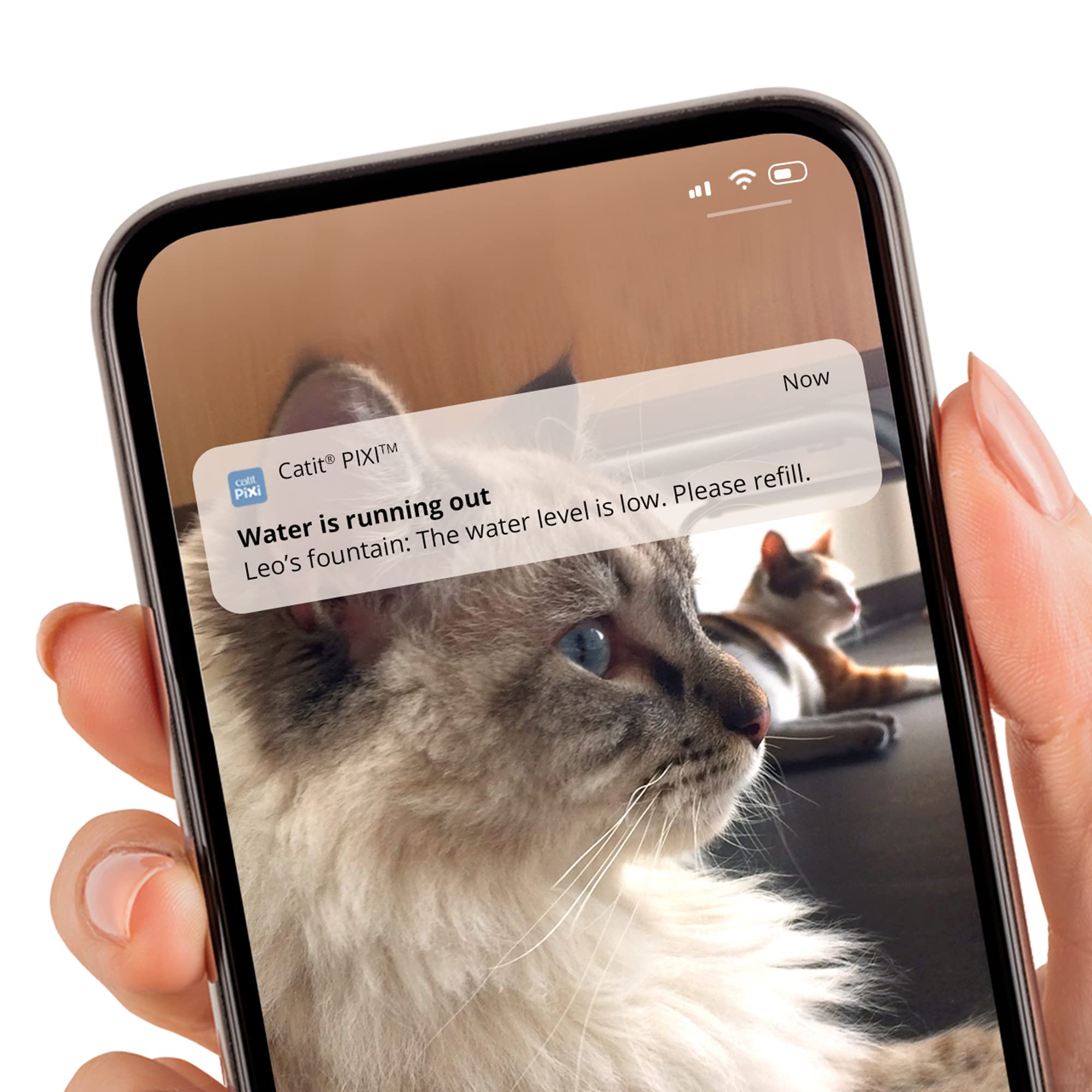 catit-pixi-fontaine-eau-intelligente-connect-e-pour-chat-2-l-avec-uvc image 4