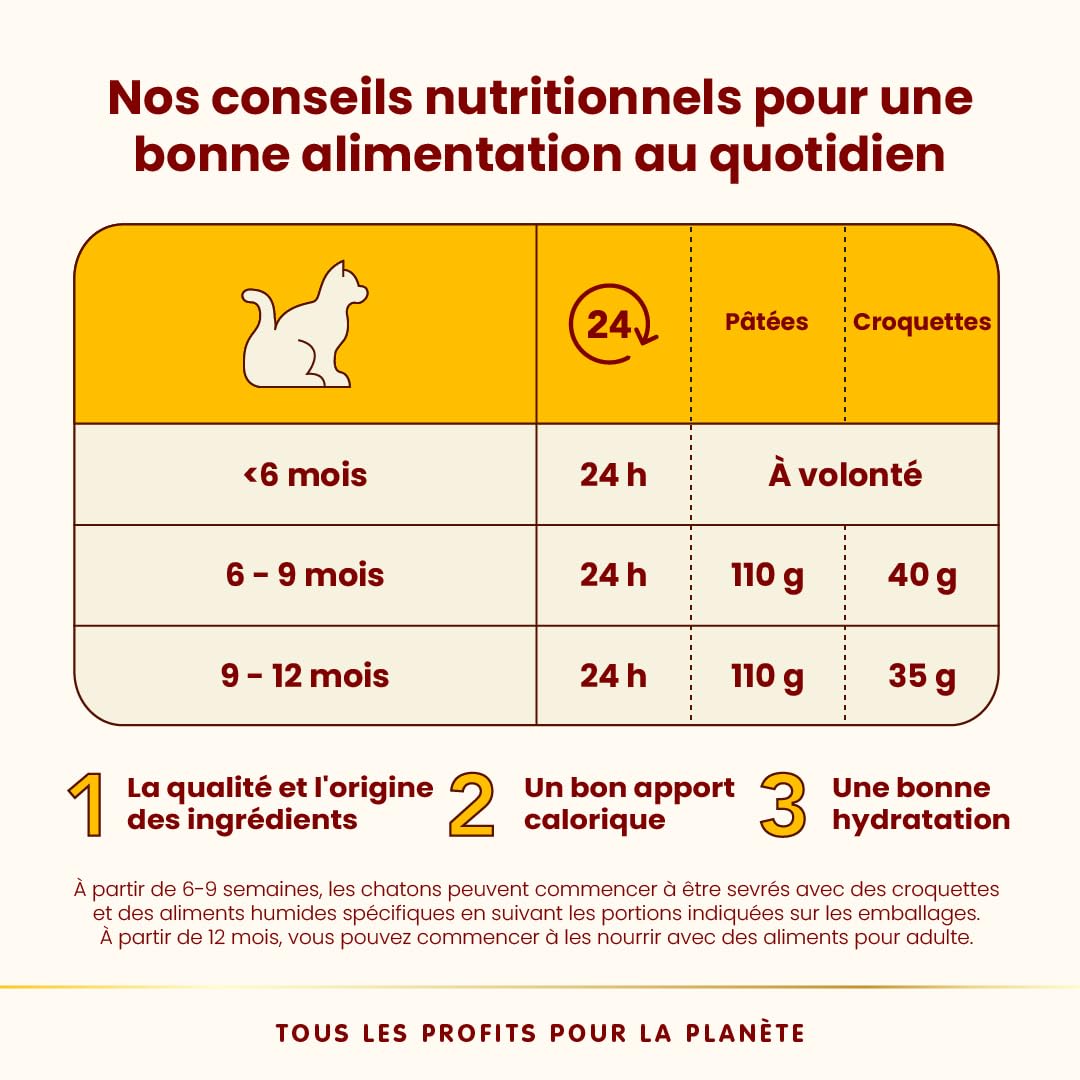 almo-nature-hfc-kitten-nourriture-humide-poulet-pour-chaton-70-g-x-24 image 4