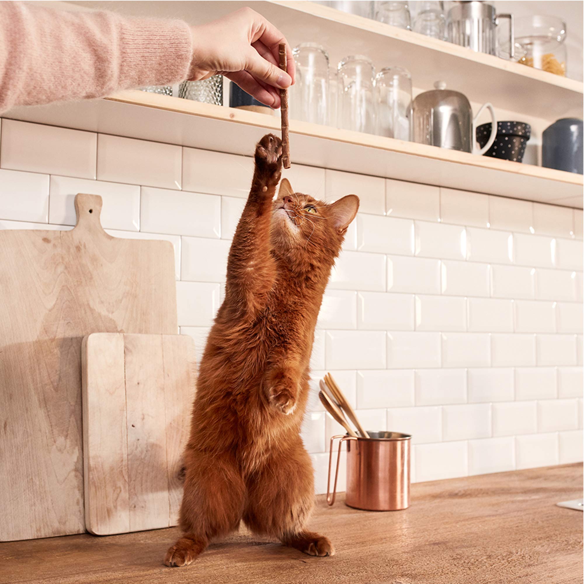 gimcat-sticks-volaille-b-tonnets-m-cher-chat-10-sticks image 3