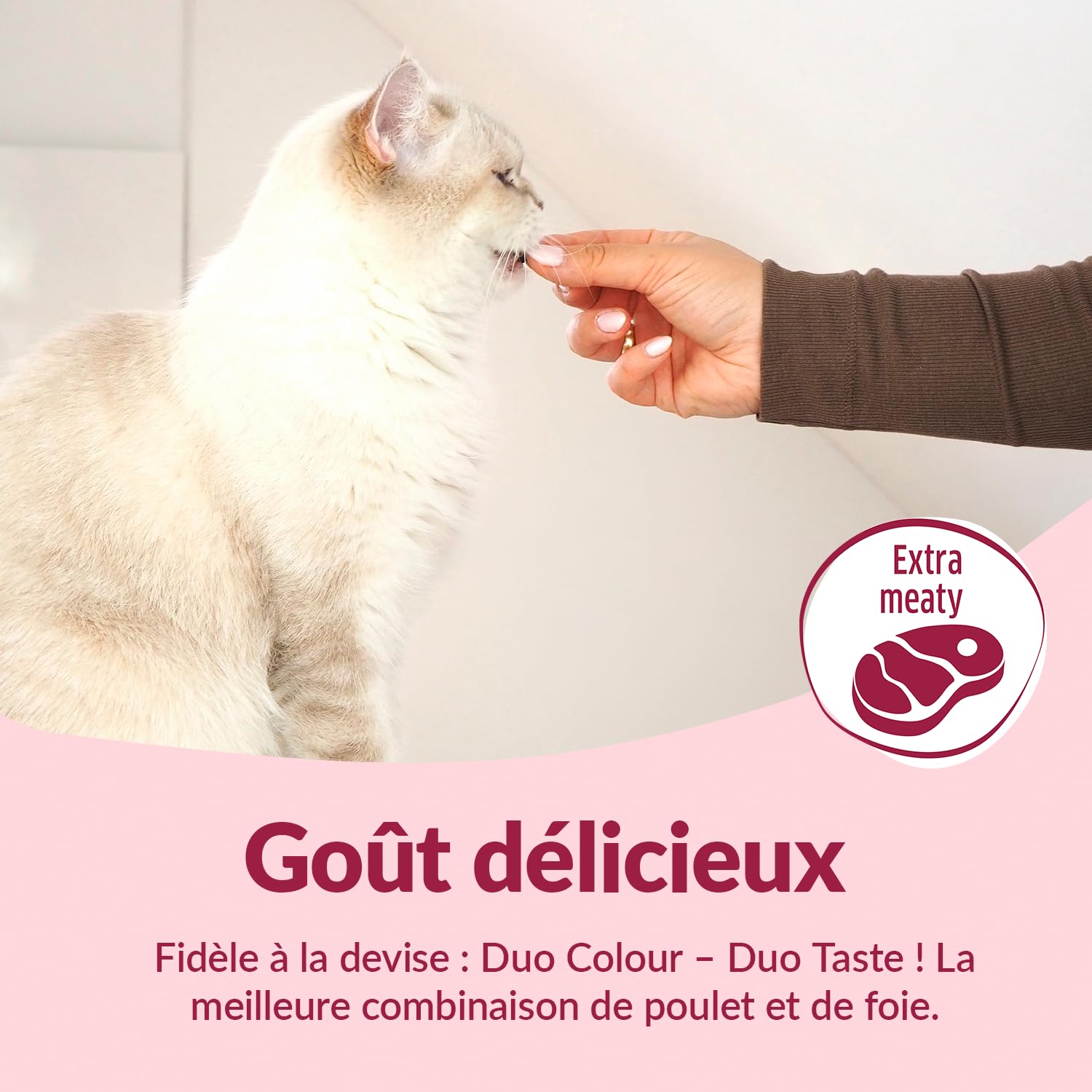 gimcat-duo-soft-snacks-poulet-et-foie-50-g image 3