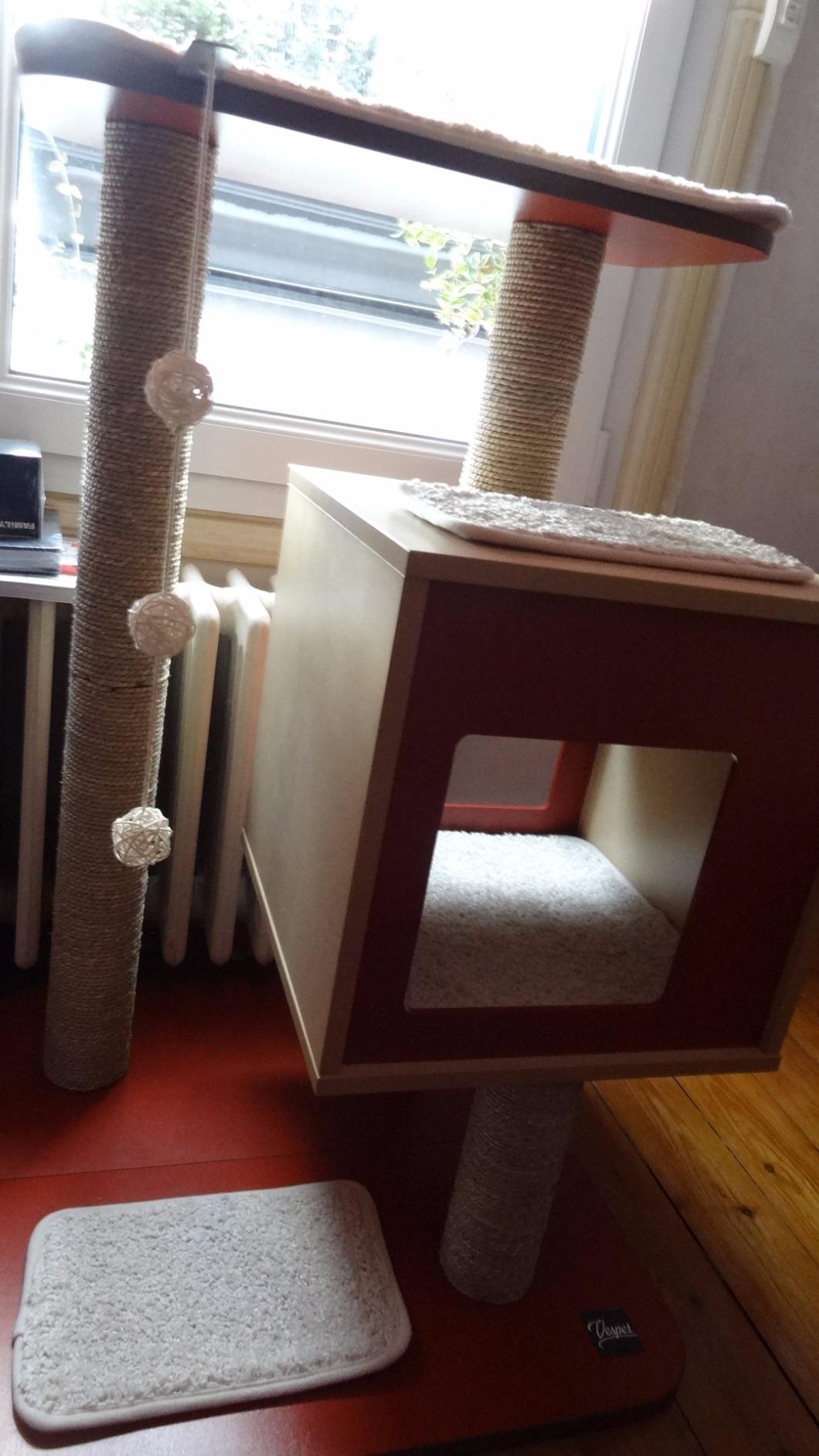 Mes chats l'ont adopté en 5 minutes