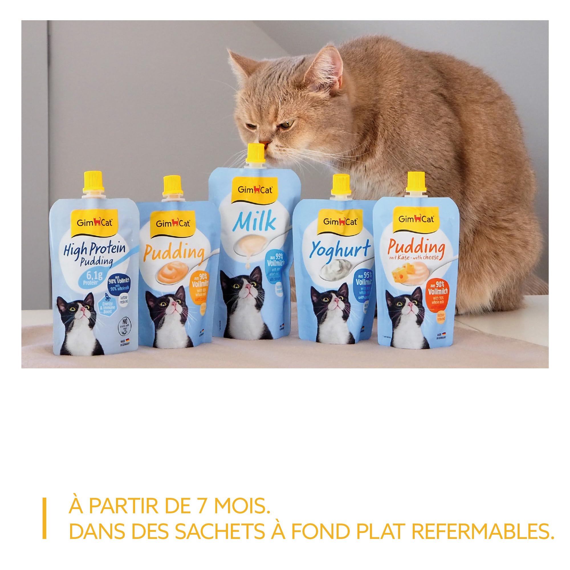 gimcat-pudding-au-fromage-snack-cr-meux-pour-chat-riche-en-calcium-fabriqu-en-al image 5