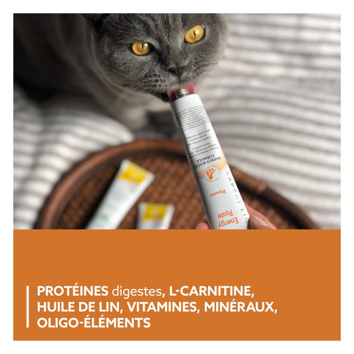 gimcat-expert-line-p-te-energy-p-te-nerg-tique-pour-chat-50-g image 4