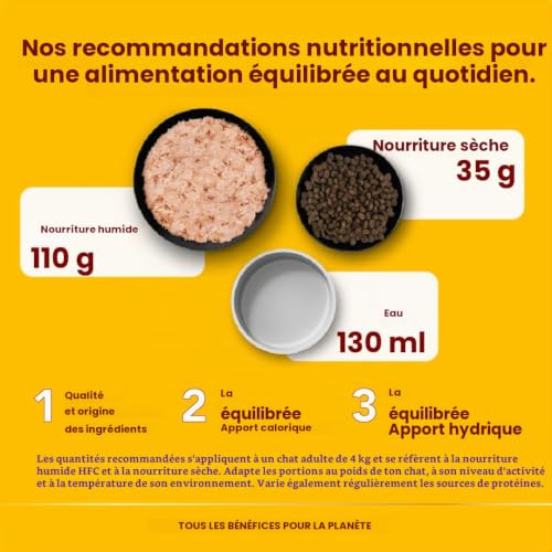 almo-nature-hfc-natural-thon-de-l-atlantique-nourriture-humide-pour-chat-adulte- image 8