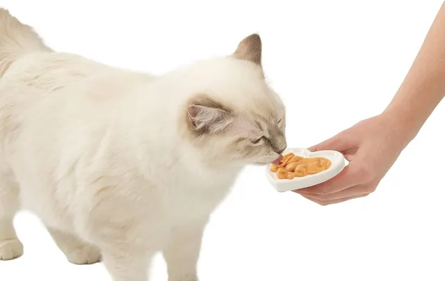 catit-creamy-snack-cr-meux-pour-chat-thon-et-crabe-4-tubes-x-10-g image 1