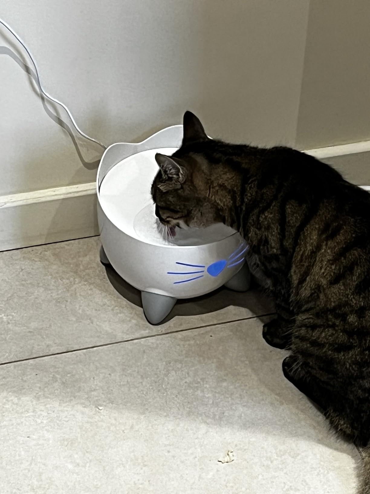 Mon chat a peur du jet