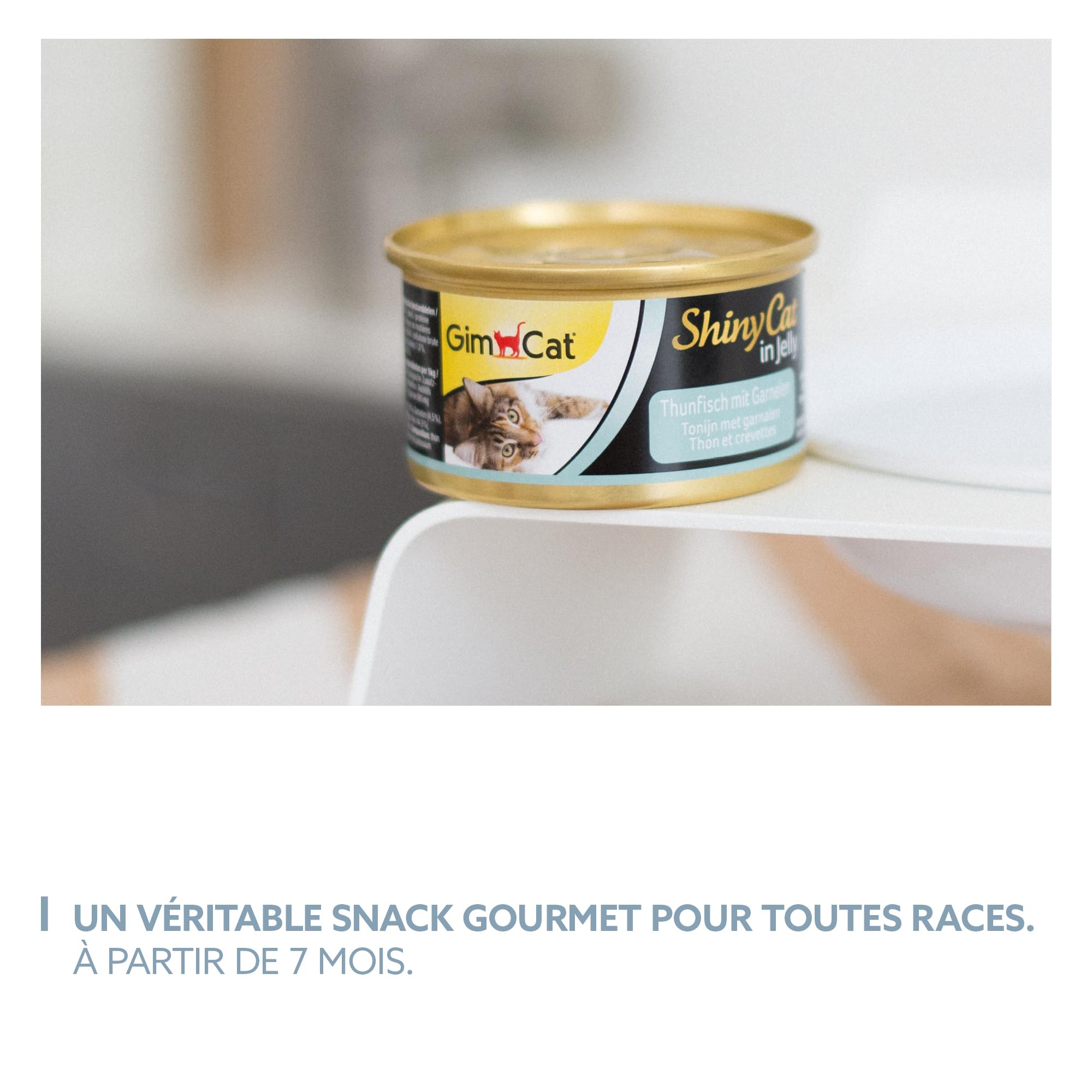 gimcat-shinycat-in-jelly-thon-aux-crevettes-nourriture-humide-pour-chat-24-x-70- image 6