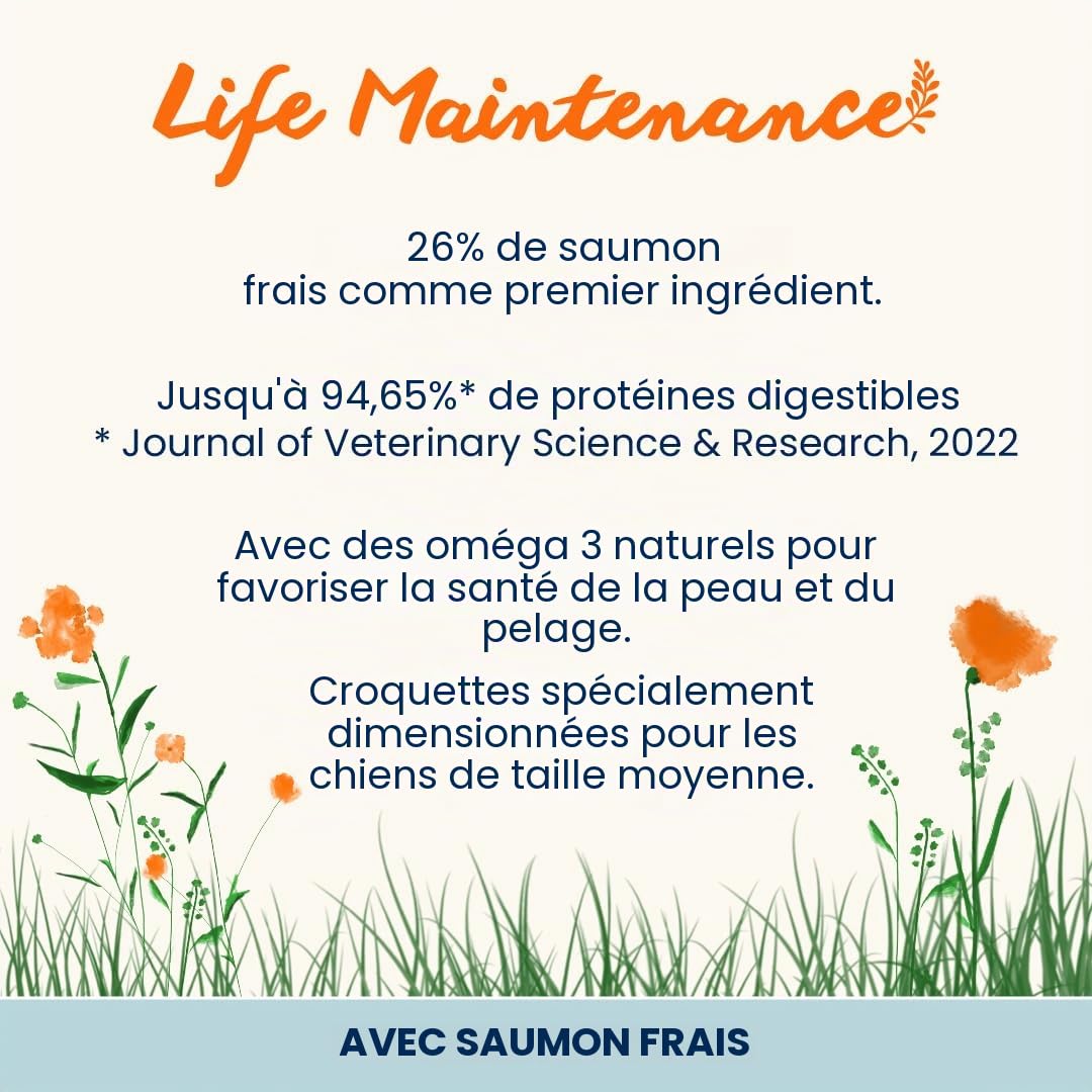 almo-nature-holistic-maintenance-medium-saumon-frais-croquettes-chien-moyen-12-k image 2
