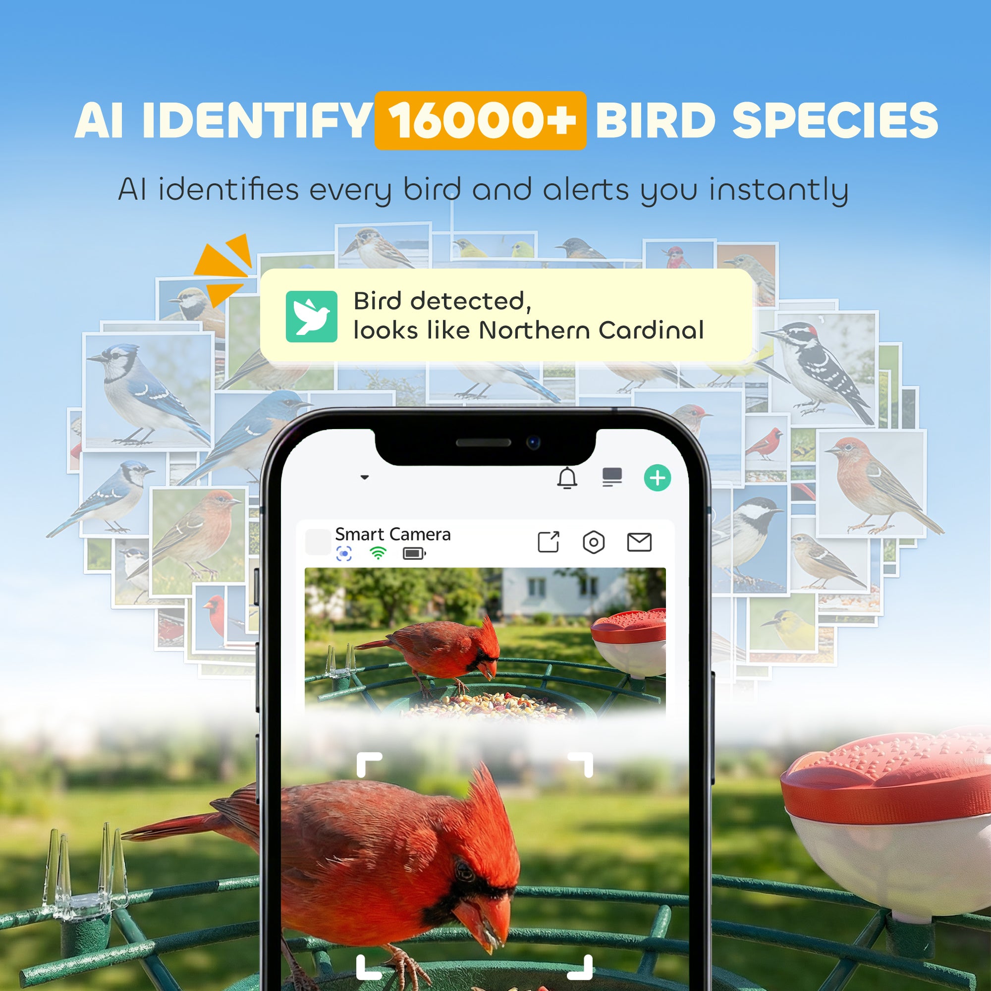 pawhut-birdwatch-pro-mangeoire-intelligente-avec-cam-ra-2k-et-solaire image 6