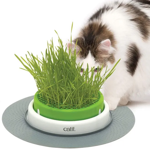catit-senses-2-0-jardin-d-herbe-chat-avec-pot-profond-et-base-stable image 1