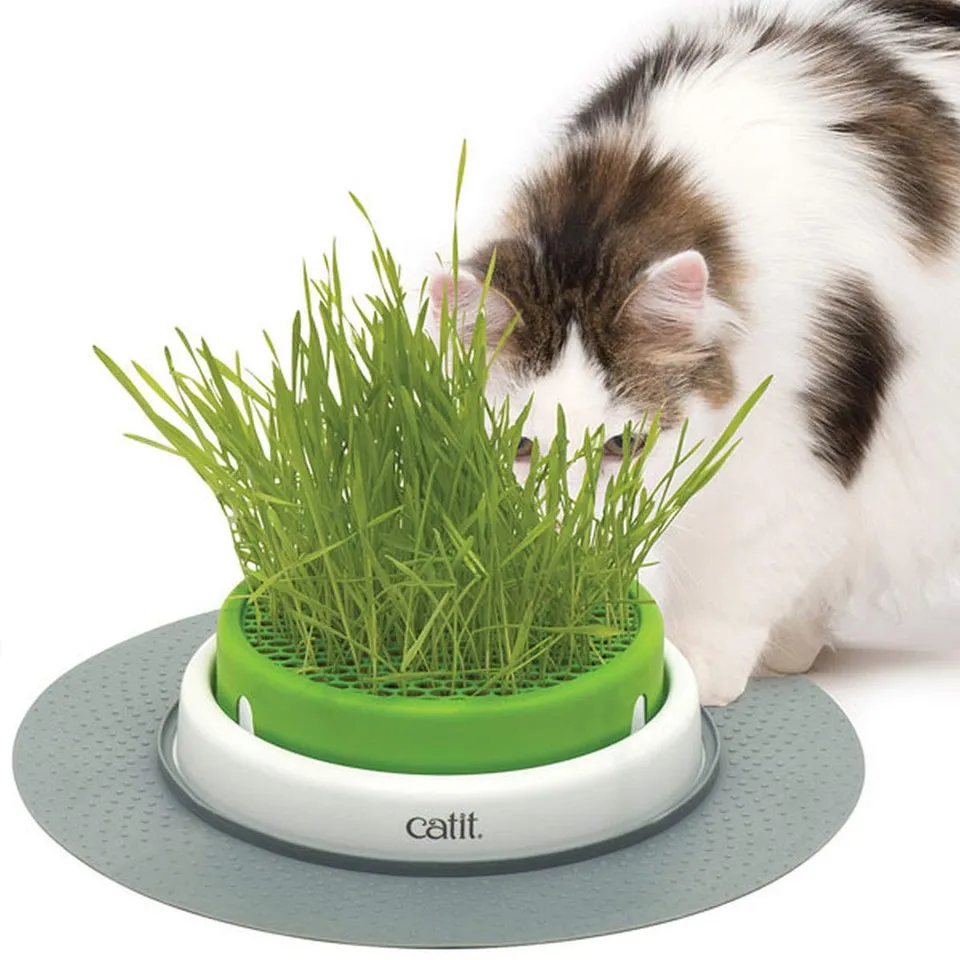 catit-senses-2-0-jardin-d-herbe-chat-avec-pot-profond-et-base-stable image 1