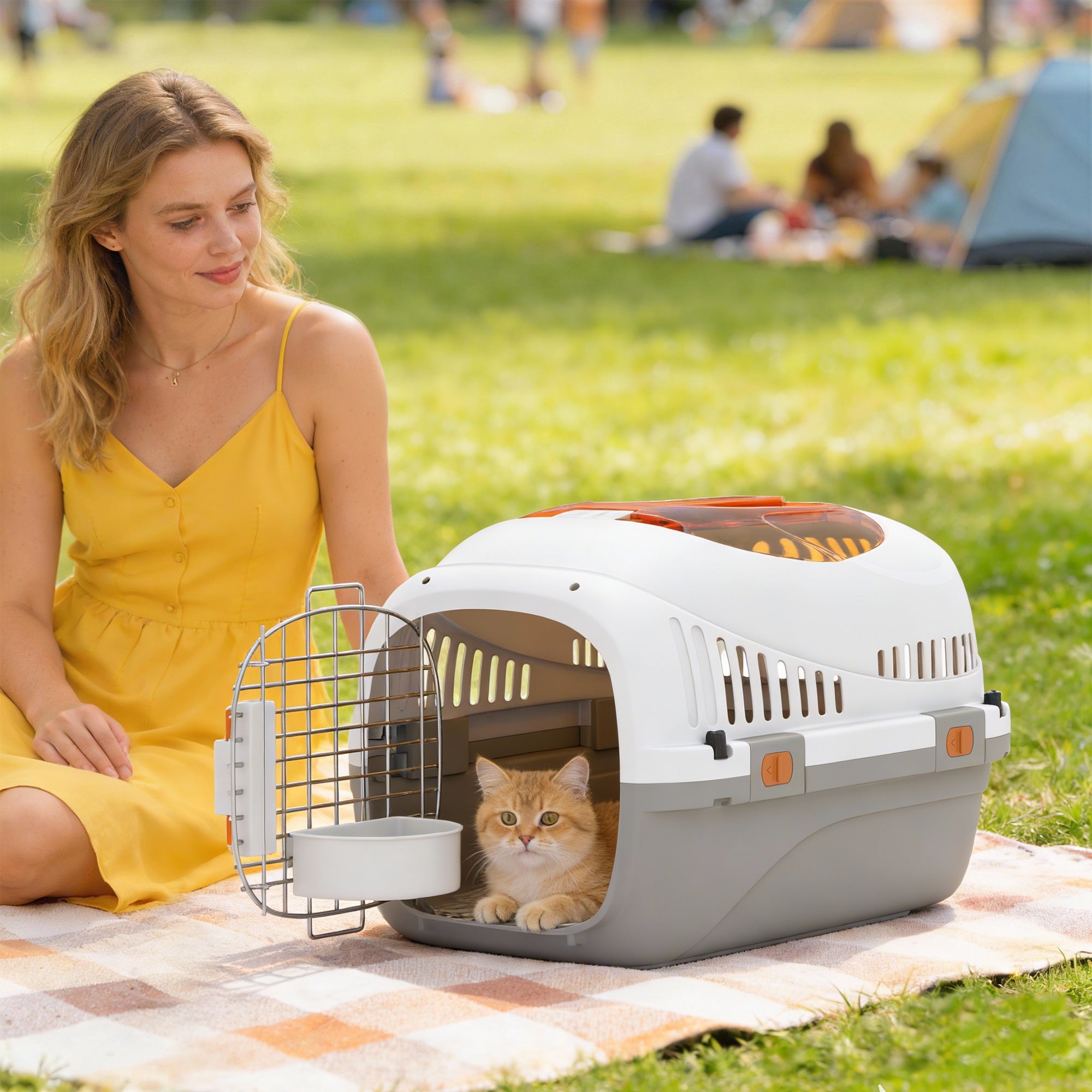pawhut-caisse-de-transport-rigide-pour-chats-et-petits-chiens-avec-porte-acier-e image 3