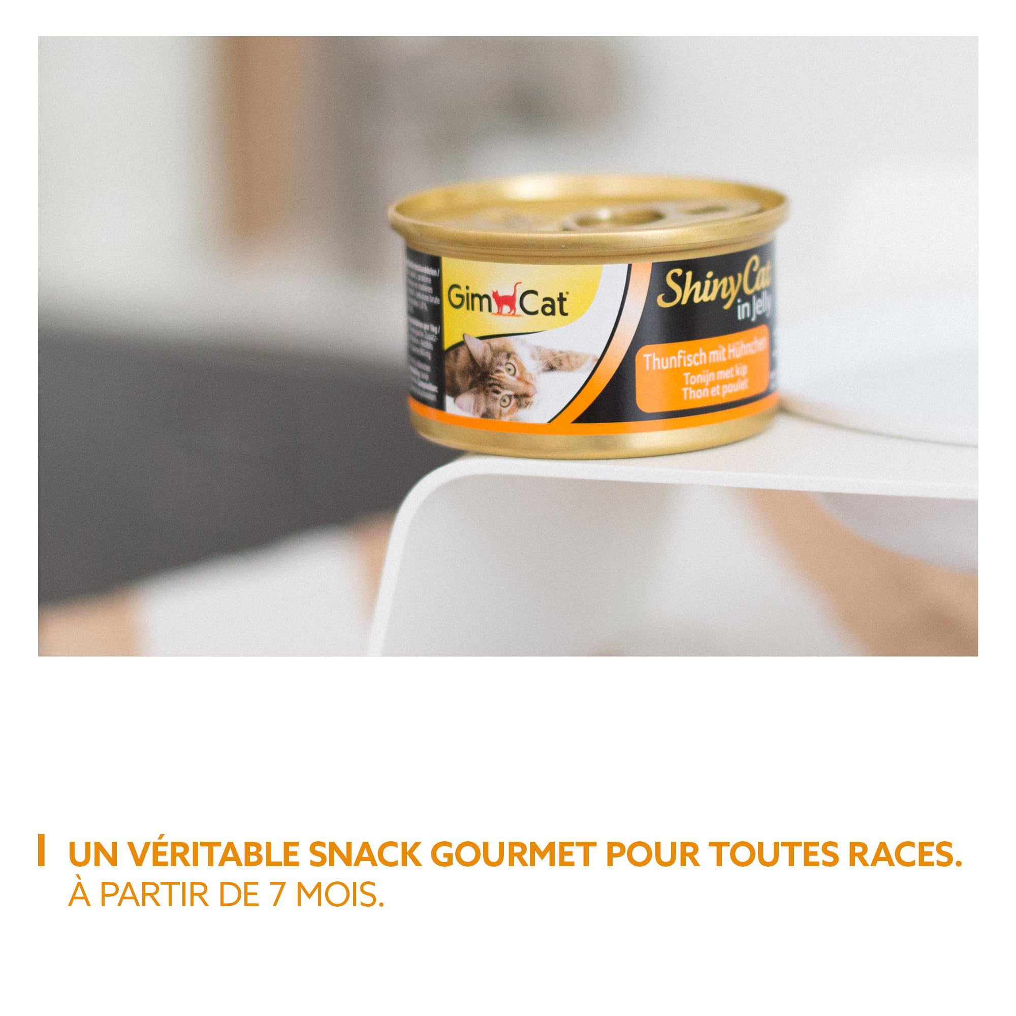 gimcat-shinycat-en-gel-e-thon-et-poulet-lot-de-24-bo-tes-de-70-g image 6