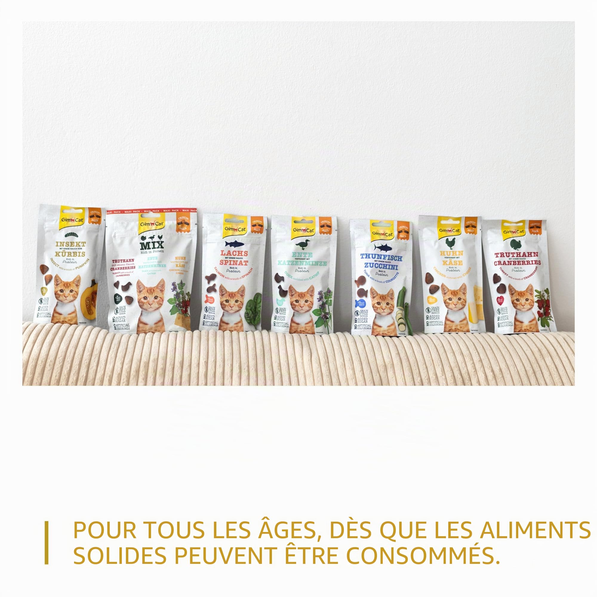 gimcat-crunchy-snacks-insecte-la-citrouille-friandise-croustillante-pour-chat-sa image 6