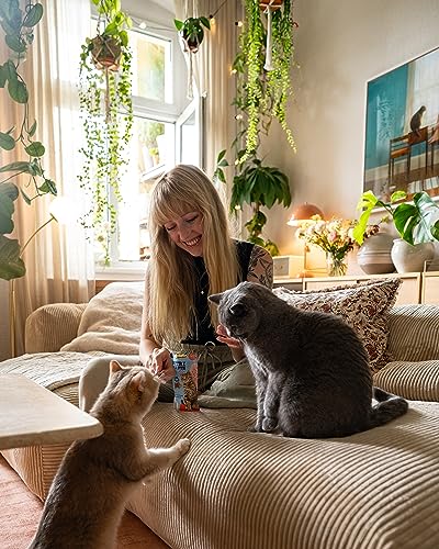gimcat-nutri-pockets-poisson-saumon-friandise-croustillante-pour-chat-60-g image 8