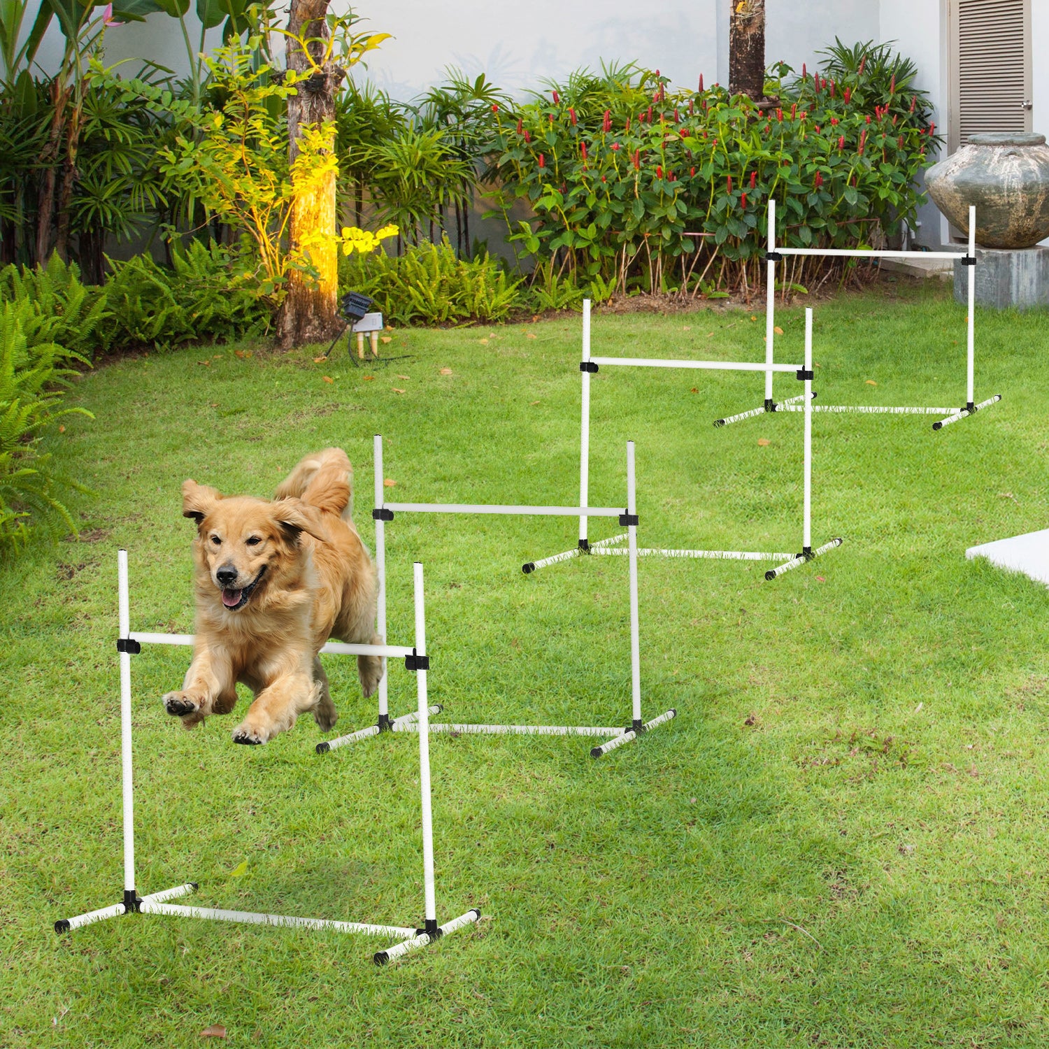 pawhut-kit-d-agilit-chien-4-sauts-r-glables-blanc image 4