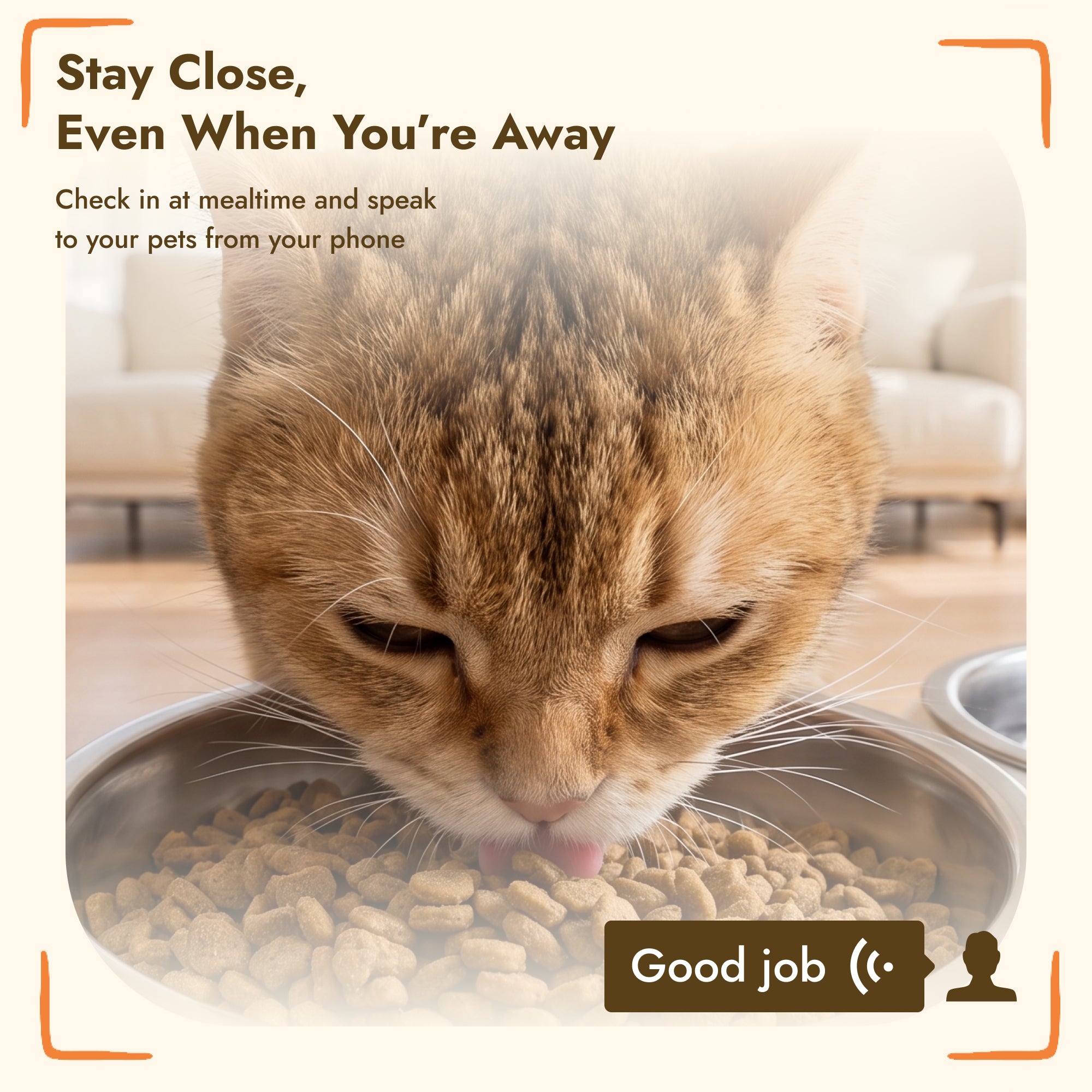 pawhut-distributeur-croquettes-intelligent-6l-avec-cam-ra-hd-pour-2-chats image 5