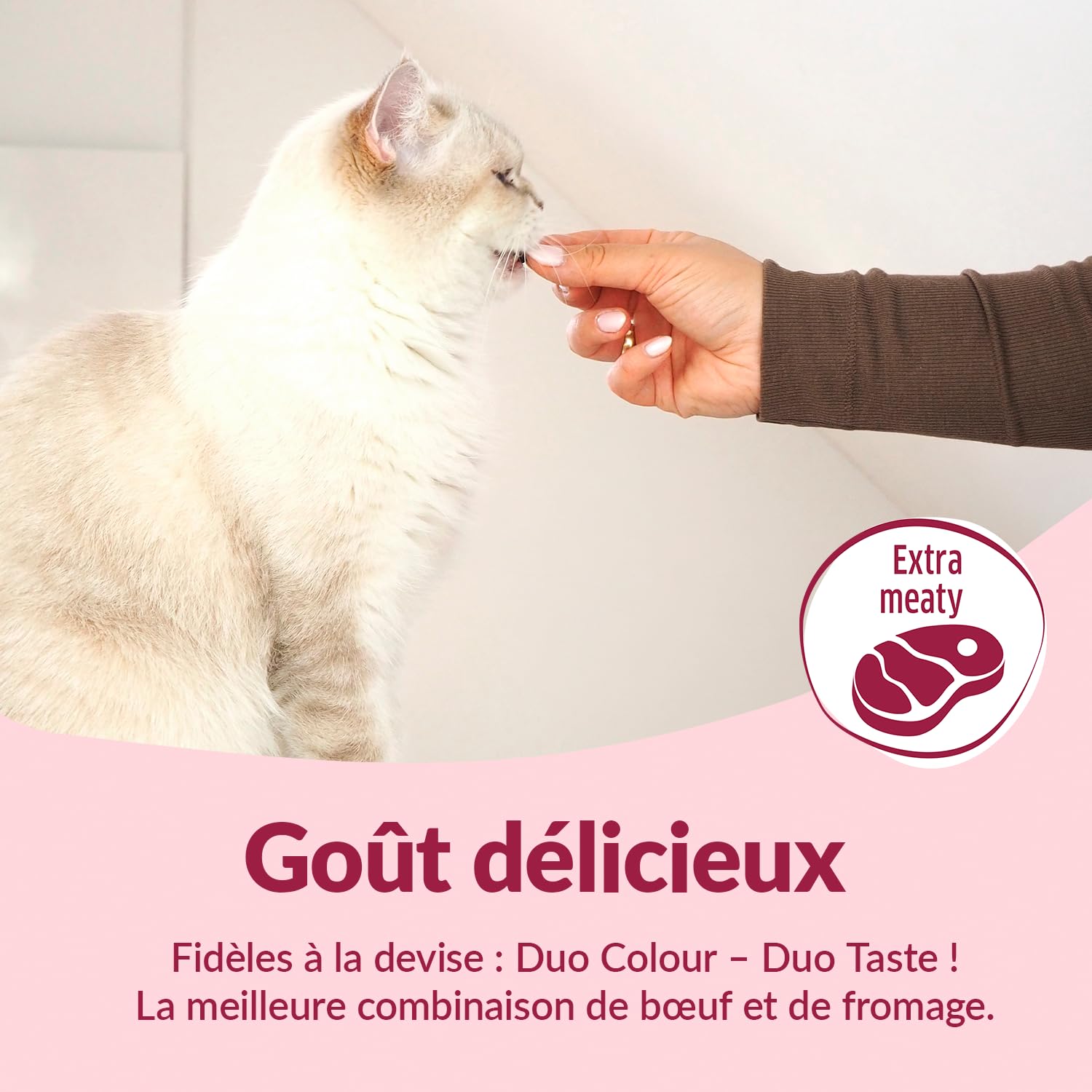 gimcat-duo-soft-snacks-b-uf-avec-fromage-pour-chat-50-g image 3