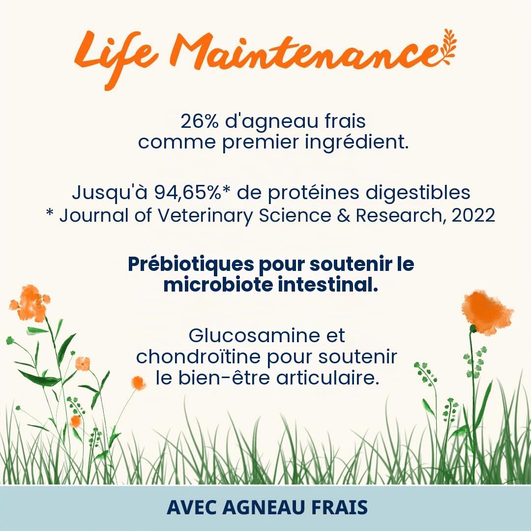 almo-nature-life-maintenance-croquettes-chien-l-agneau-aliment-complet-pour-chie image 2