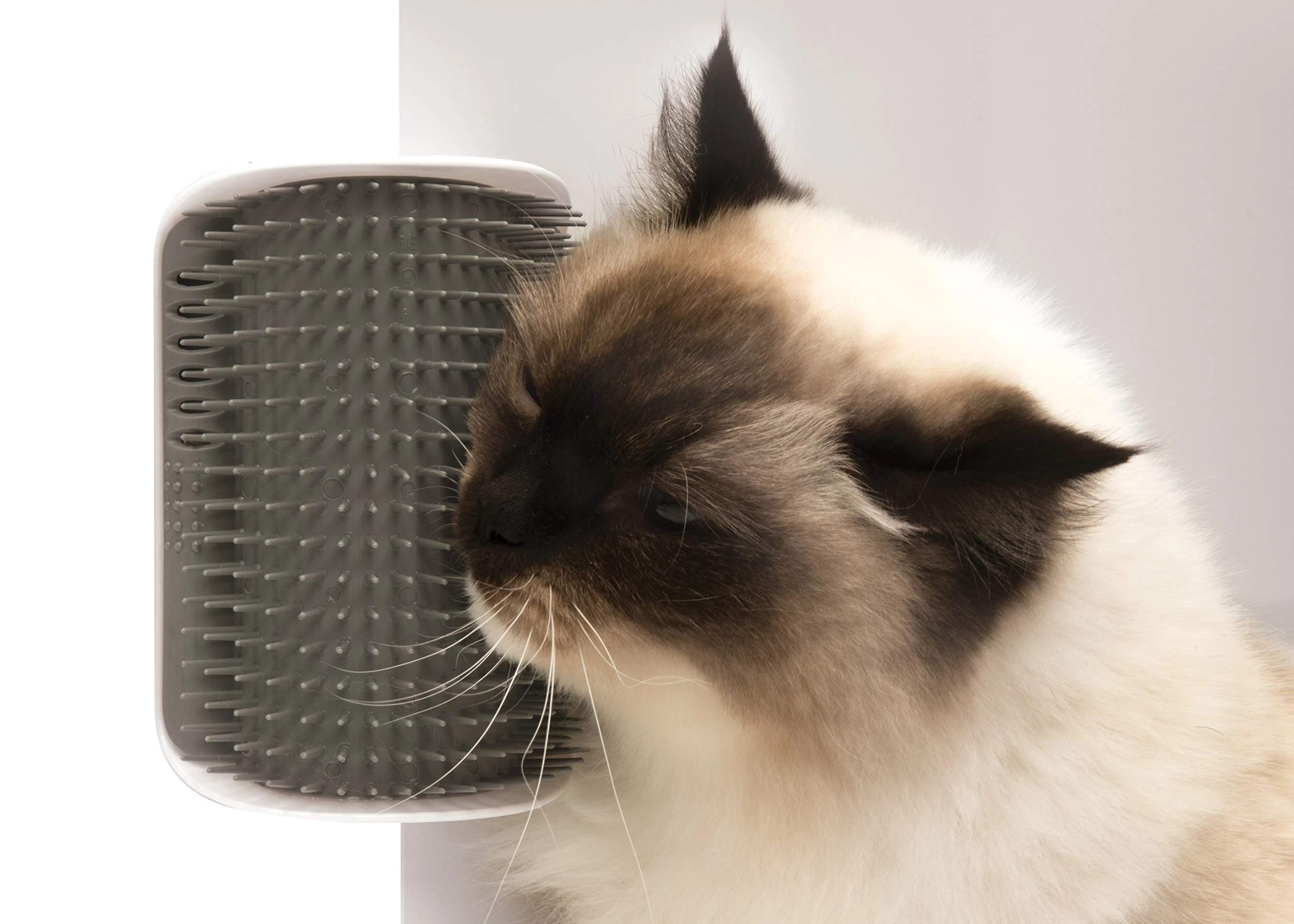 catit-senses-brosse-auto-toiletteur-pour-chat-avec-herbe-chat image 7