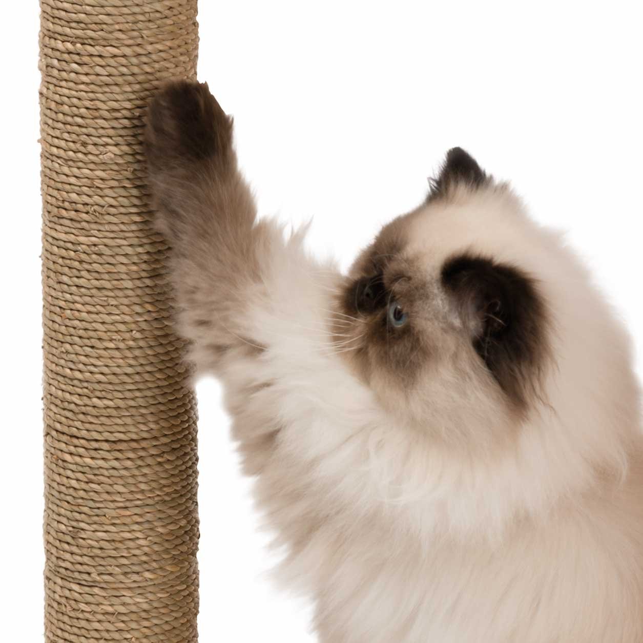 catit-vesper-v-box-arbre-chat-bo-te-naturel-taille-s image 7