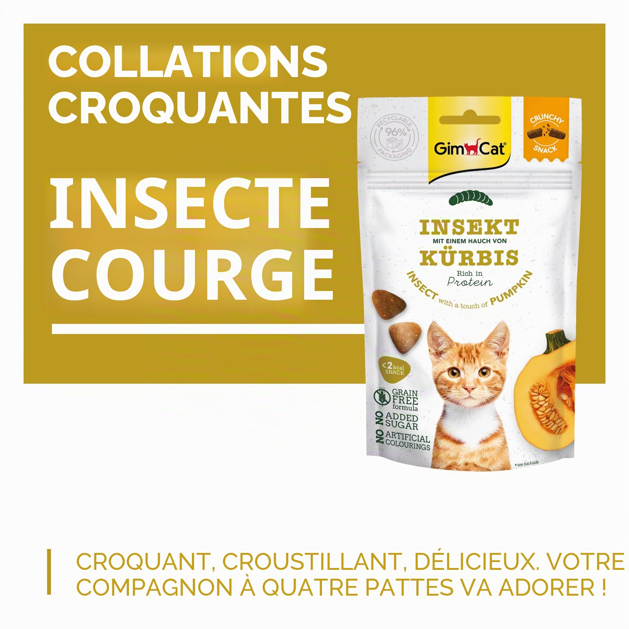 gimcat-crunchy-snacks-insecte-la-citrouille-friandise-croustillante-pour-chat-sa image 2
